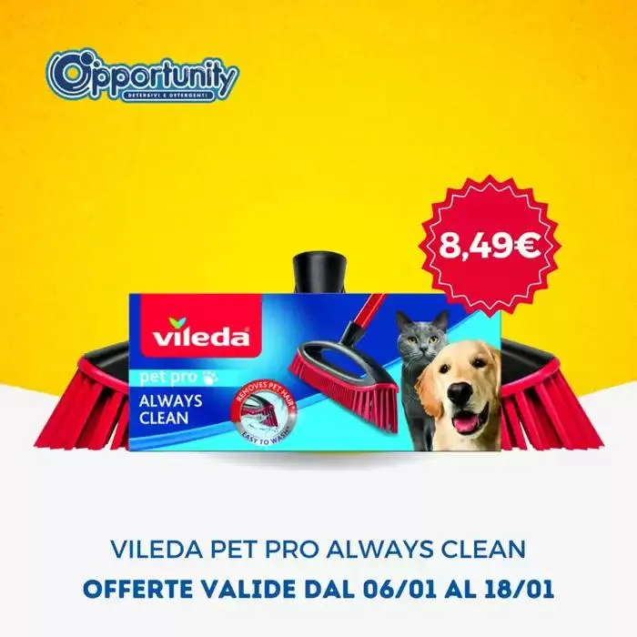 Valido dal 6 gennaio al 18 gennaio da 6 gennaio a 18 gennaio di 2025 - Pagina del volantino 4