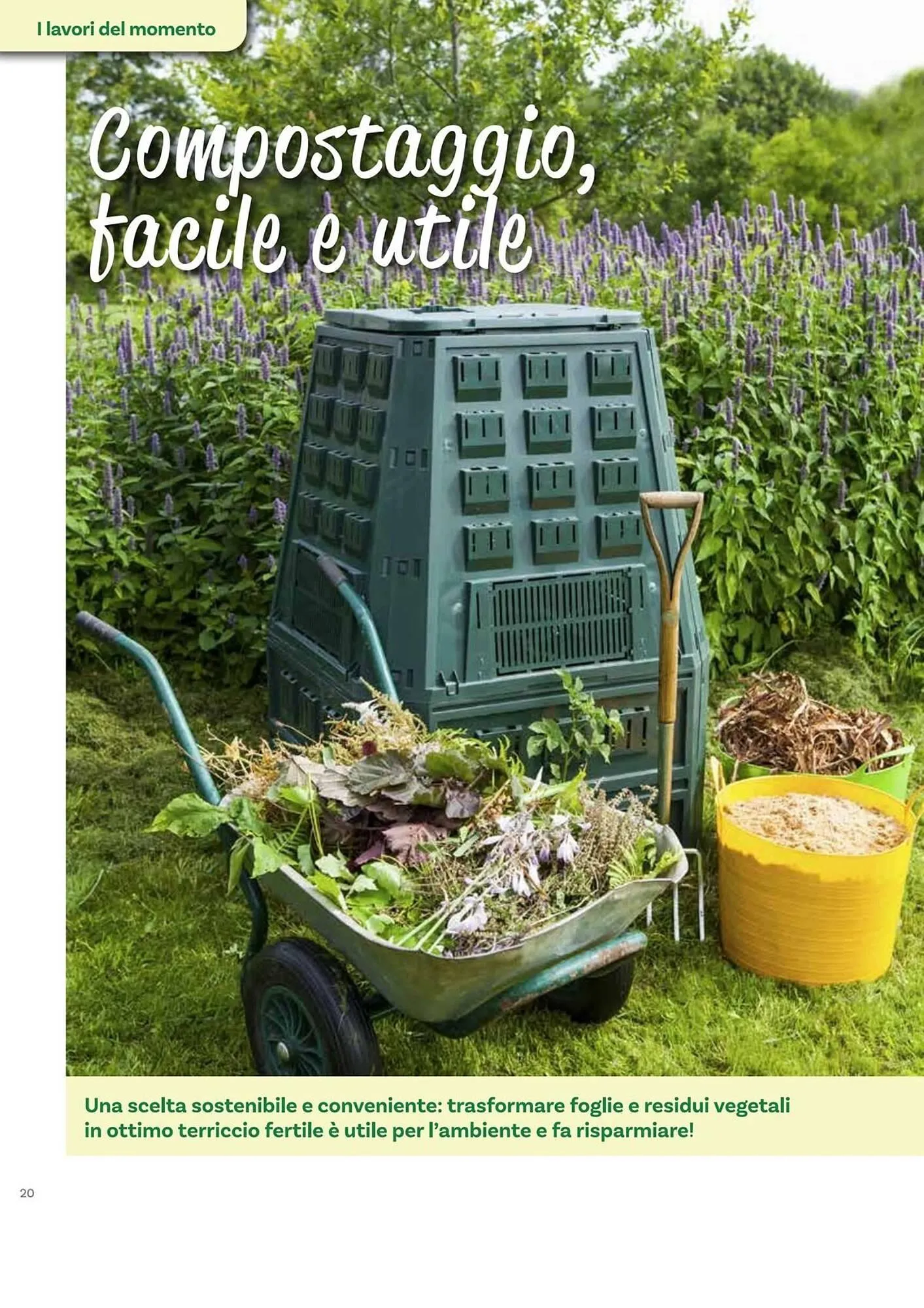 Volantino Viridea da 17 ottobre a 22 dicembre di 2025 - Pagina del volantino 20