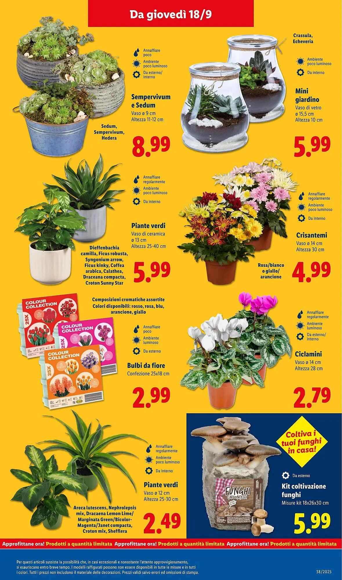 Volantino Lidl da 15 settembre a 21 settembre di 2025 - Pagina del volantino 47