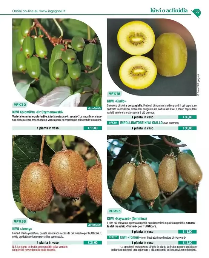 Catalogo guida 2025 da 20 gennaio a 31 dicembre di 2025 - Pagina del volantino 179