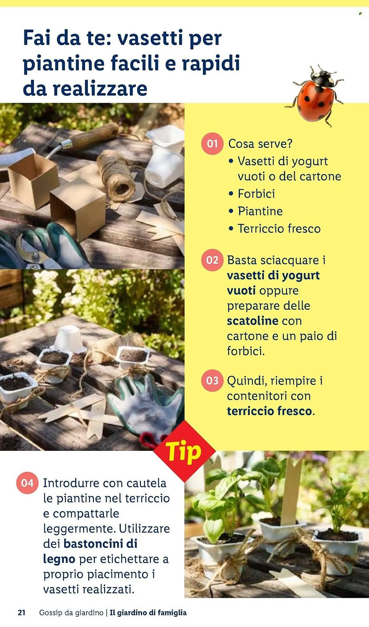 Volantino Lidl da 22 aprile a 30 aprile di 2026 - Pagina del volantino 21