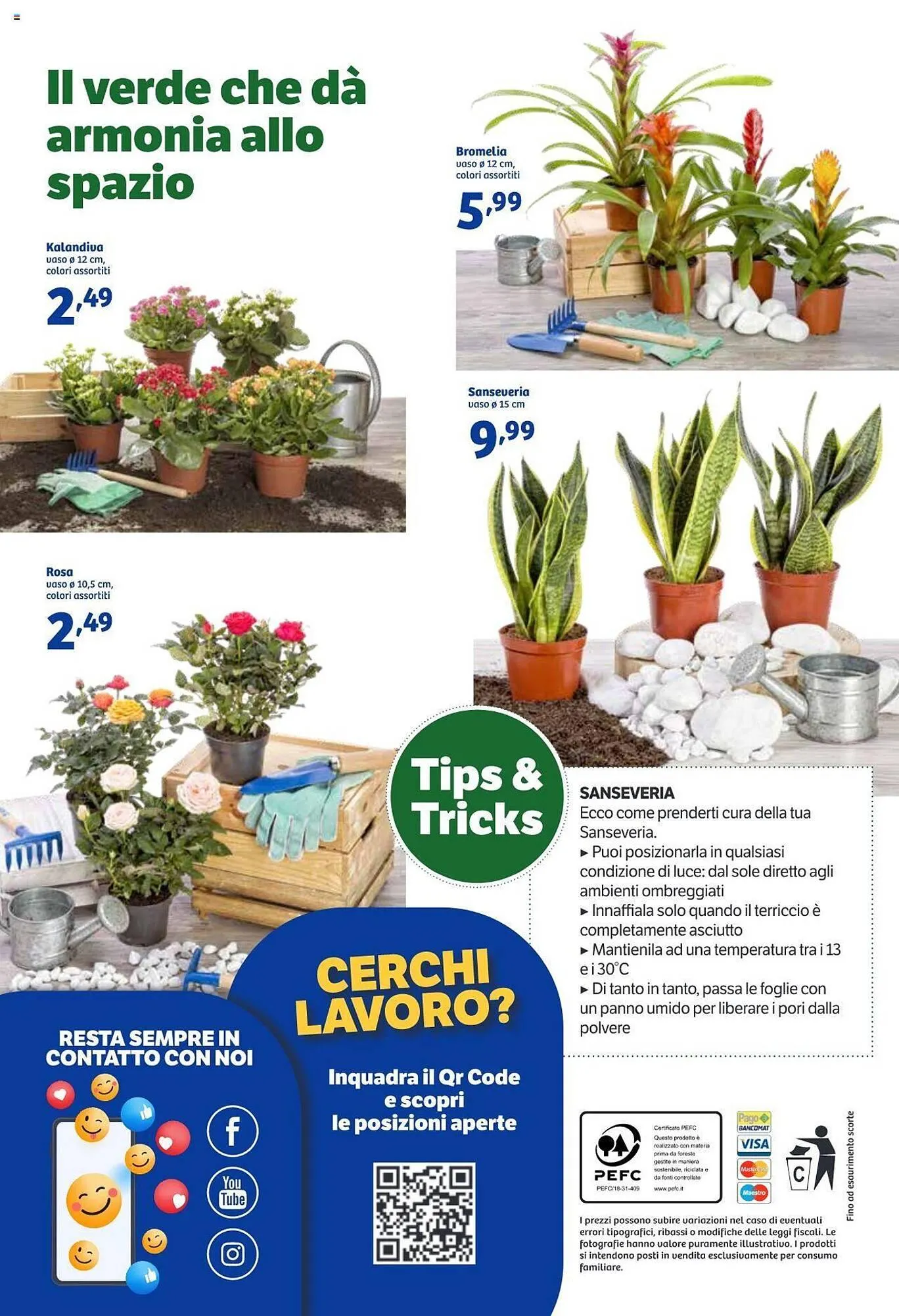 Volantino In'S Mercato da 6 novembre a 17 novembre di 2024 - Pagina del volantino 24