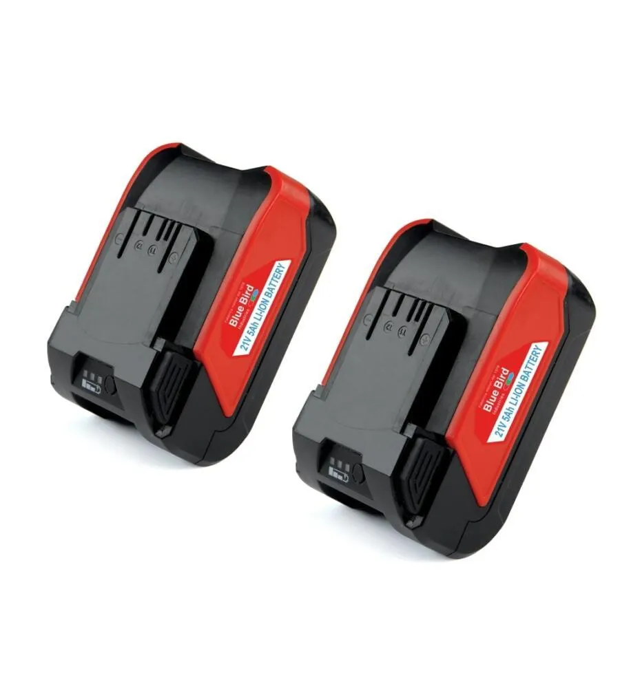 MOTOSEGA A BATTERIA DA POTATURA BLUE BIRD "THCS 22-07 " CON 2 BATTERIE 21V - 5AH INCLUSE