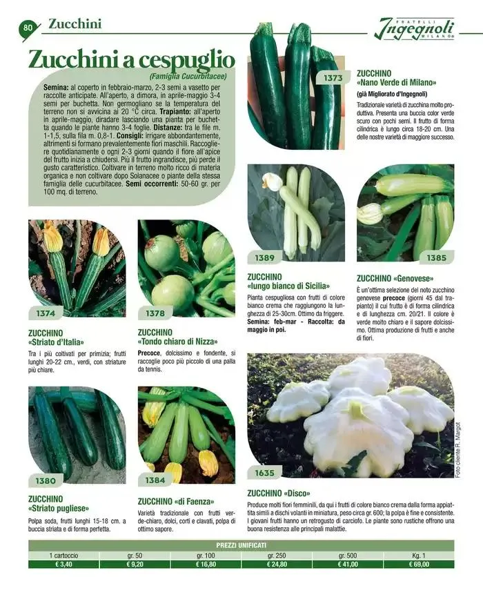 Catalogo guida 2025 da 20 gennaio a 31 dicembre di 2025 - Pagina del volantino 82