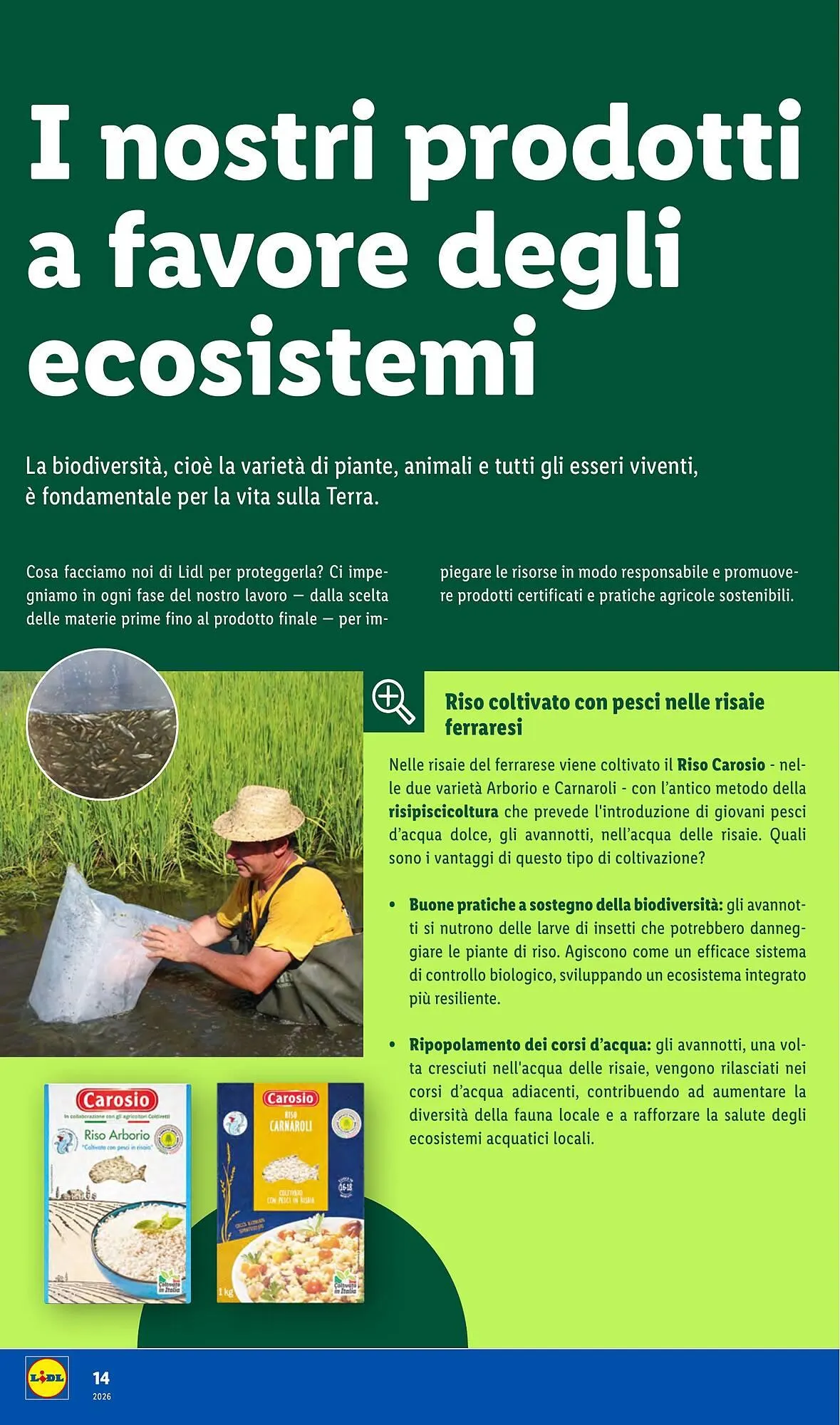 Volantino Lidl da 29 gennaio a 28 febbraio di 2026 - Pagina del volantino 14