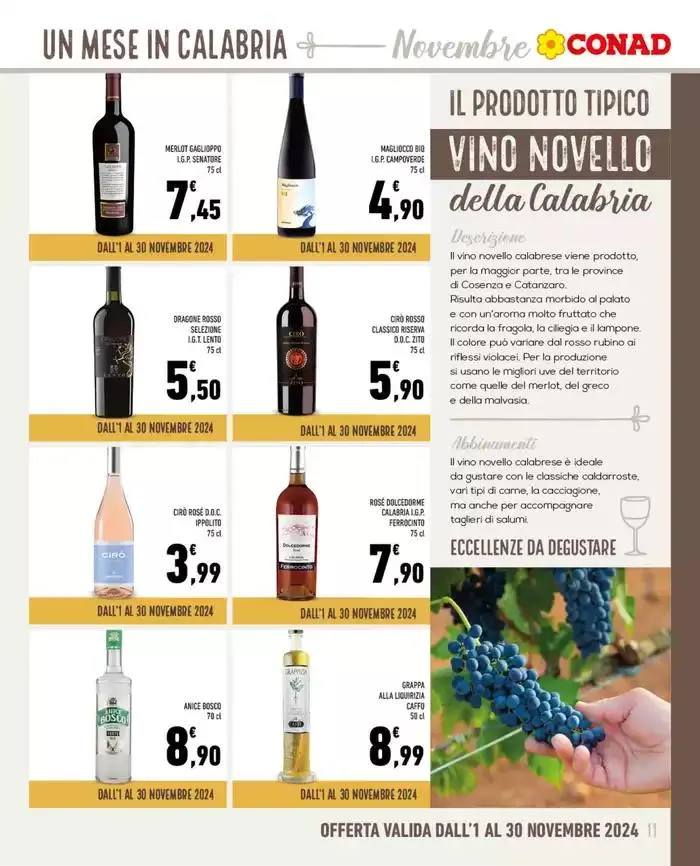 Un Mese in Calabria da 1 novembre a 30 novembre di 2024 - Pagina del volantino 11