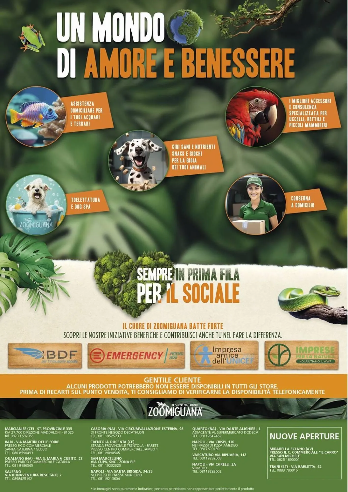 Volantino Zoomiguana da 4 dicembre a 6 gennaio di 2026 - Pagina del volantino 12