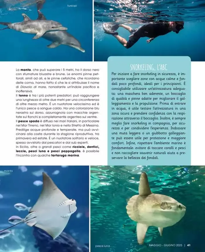 Catalogo A&O da 1 maggio a 30 giugno di 2025 - Pagina del volantino 42