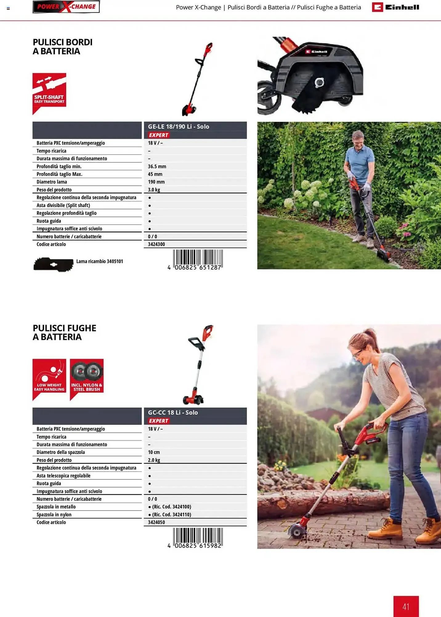 Volantino Einhell da 1 febbraio a 31 dicembre di 2025 - Pagina del volantino 41