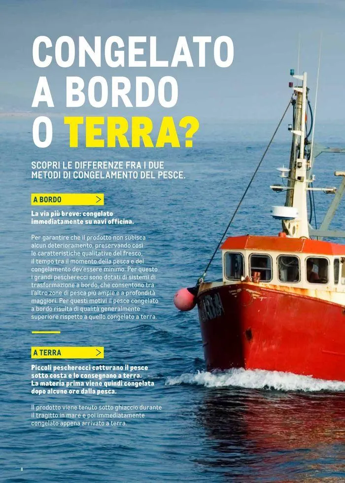 Catalogo Surgelati 2024 da 21 maggio a 31 maggio di 2025 - Pagina del volantino 8
