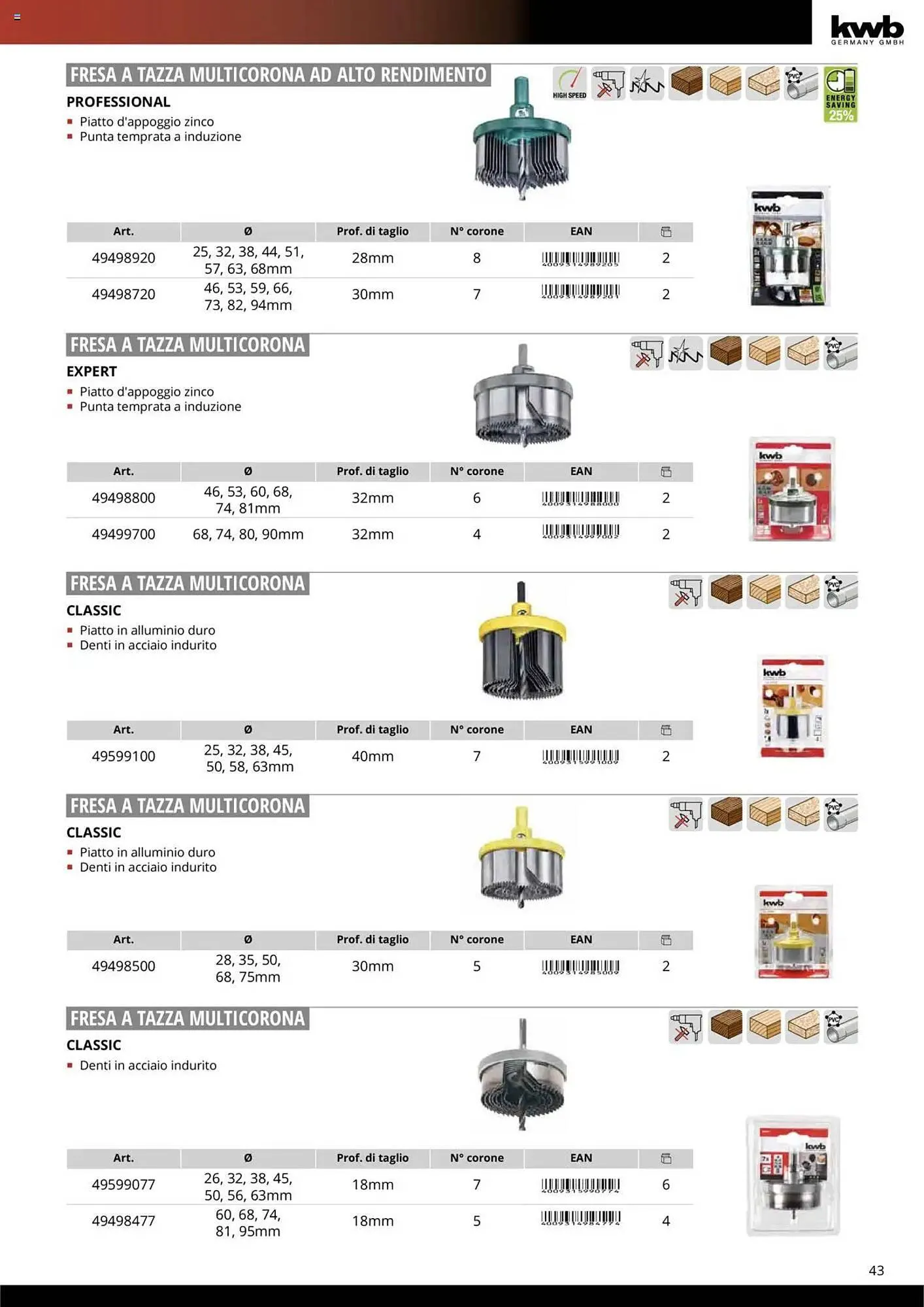 Volantino Einhell da 10 ottobre a 31 dicembre di 2025 - Pagina del volantino 45