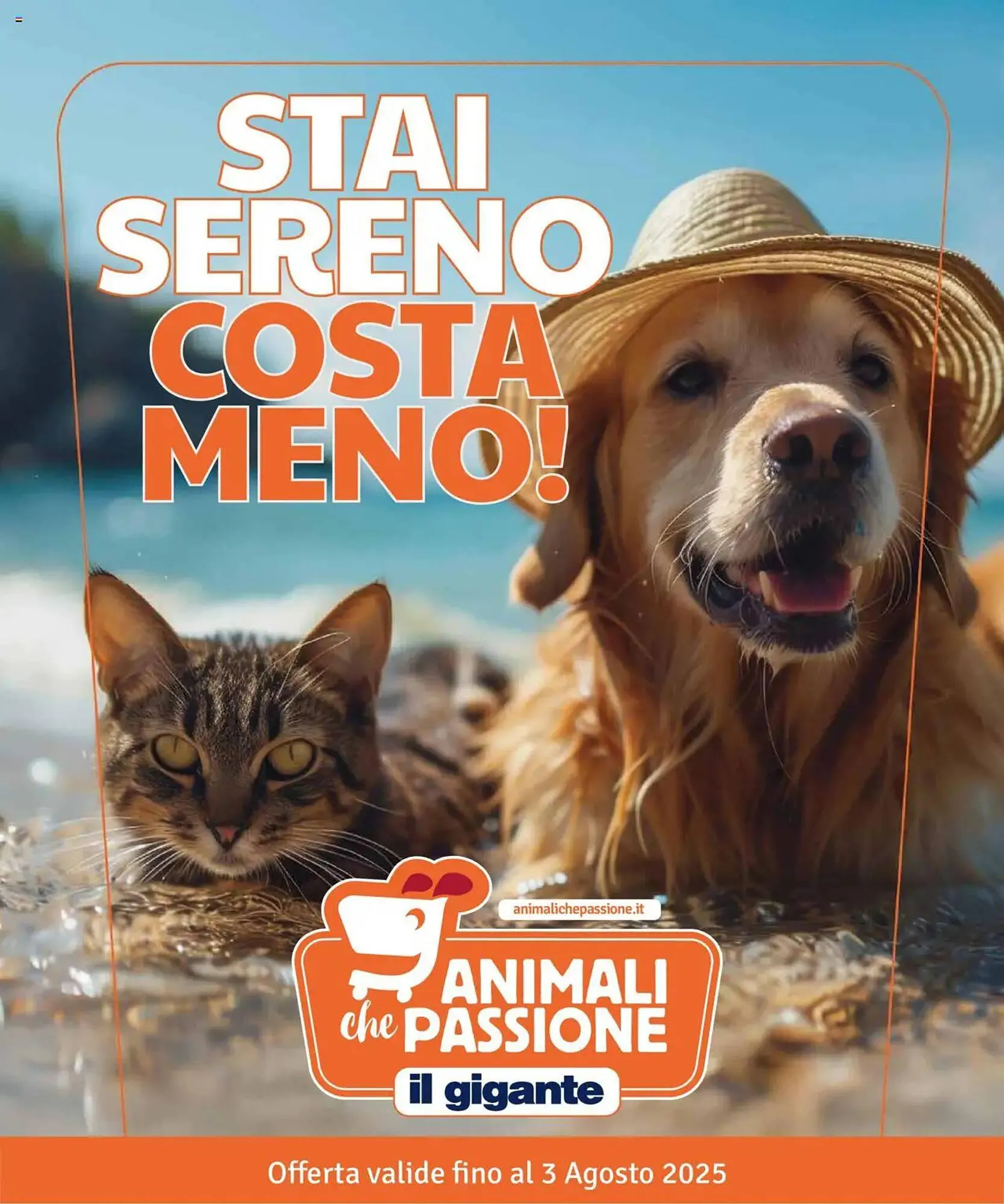 Volantino Il Gigante - 1