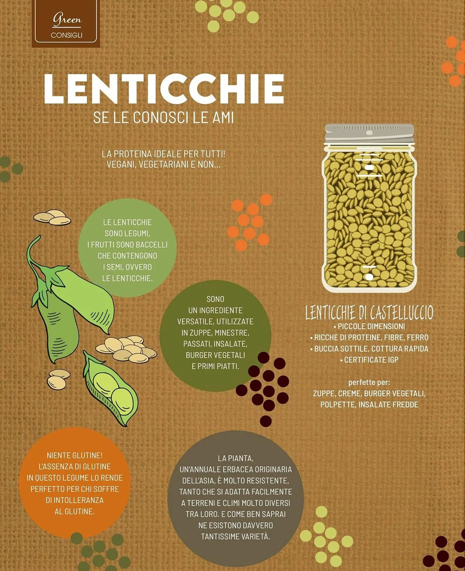 Volantino A&O da 1 novembre a 31 dicembre di 2025 - Pagina del volantino 41