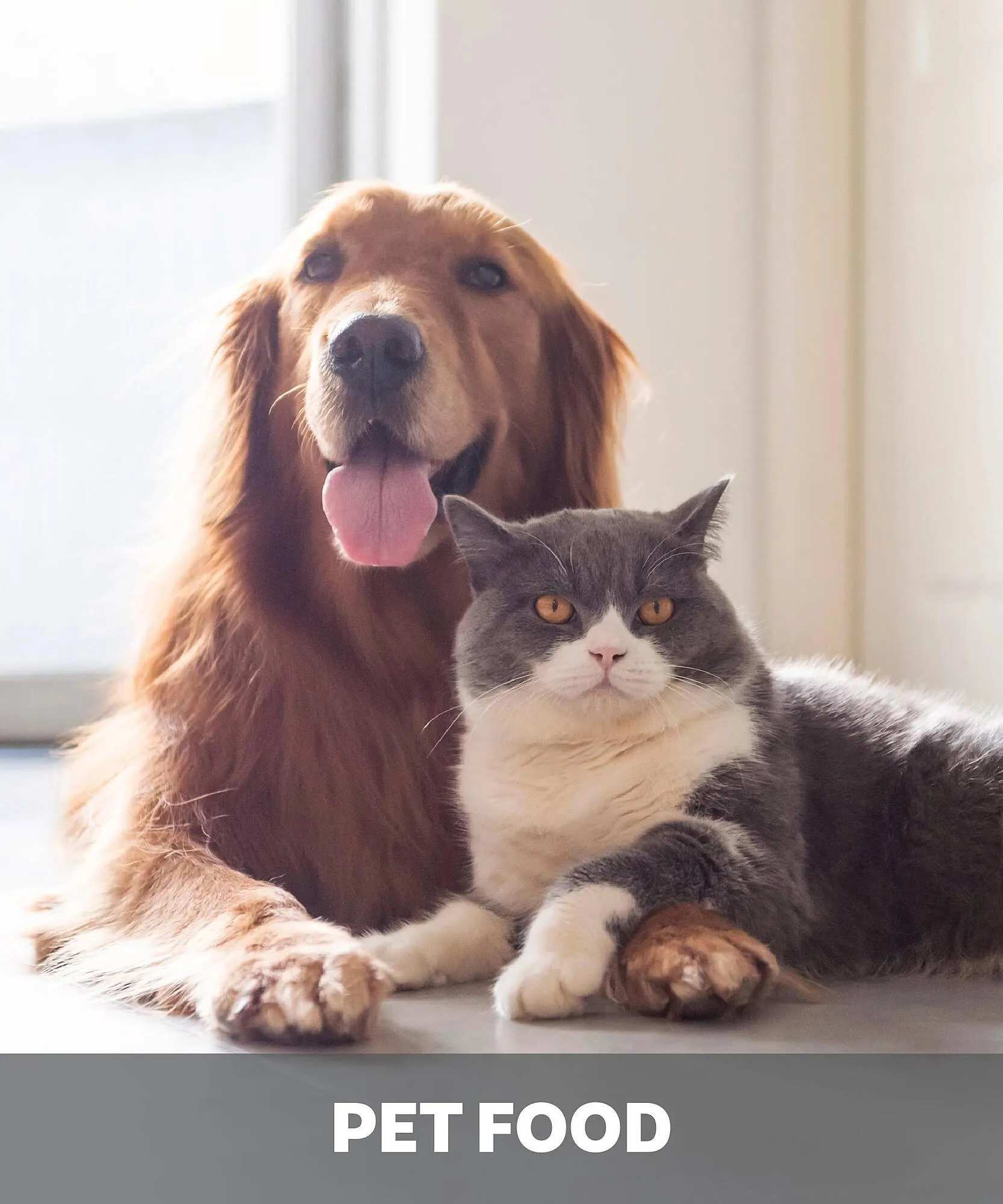 Volantino Max Factory da 8 ottobre a 9 novembre di 2025 - Pagina del volantino 33