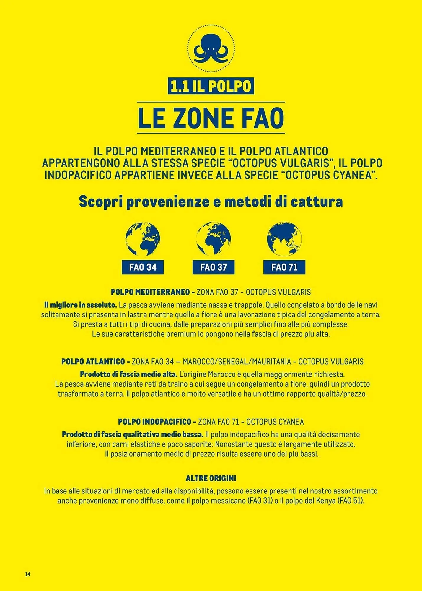 Volantino Metro da 1 luglio a 30 giugno di 2026 - Pagina del volantino 14