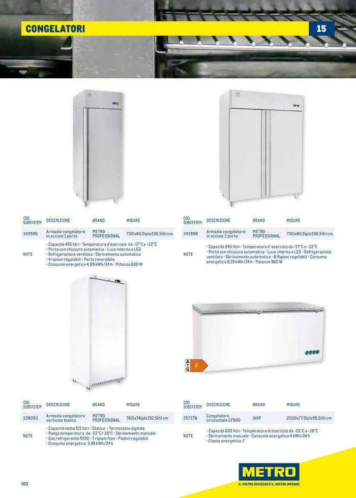 Catalogo Surgelati 2024 da 21 maggio a 31 maggio di 2025 - Pagina del volantino 103