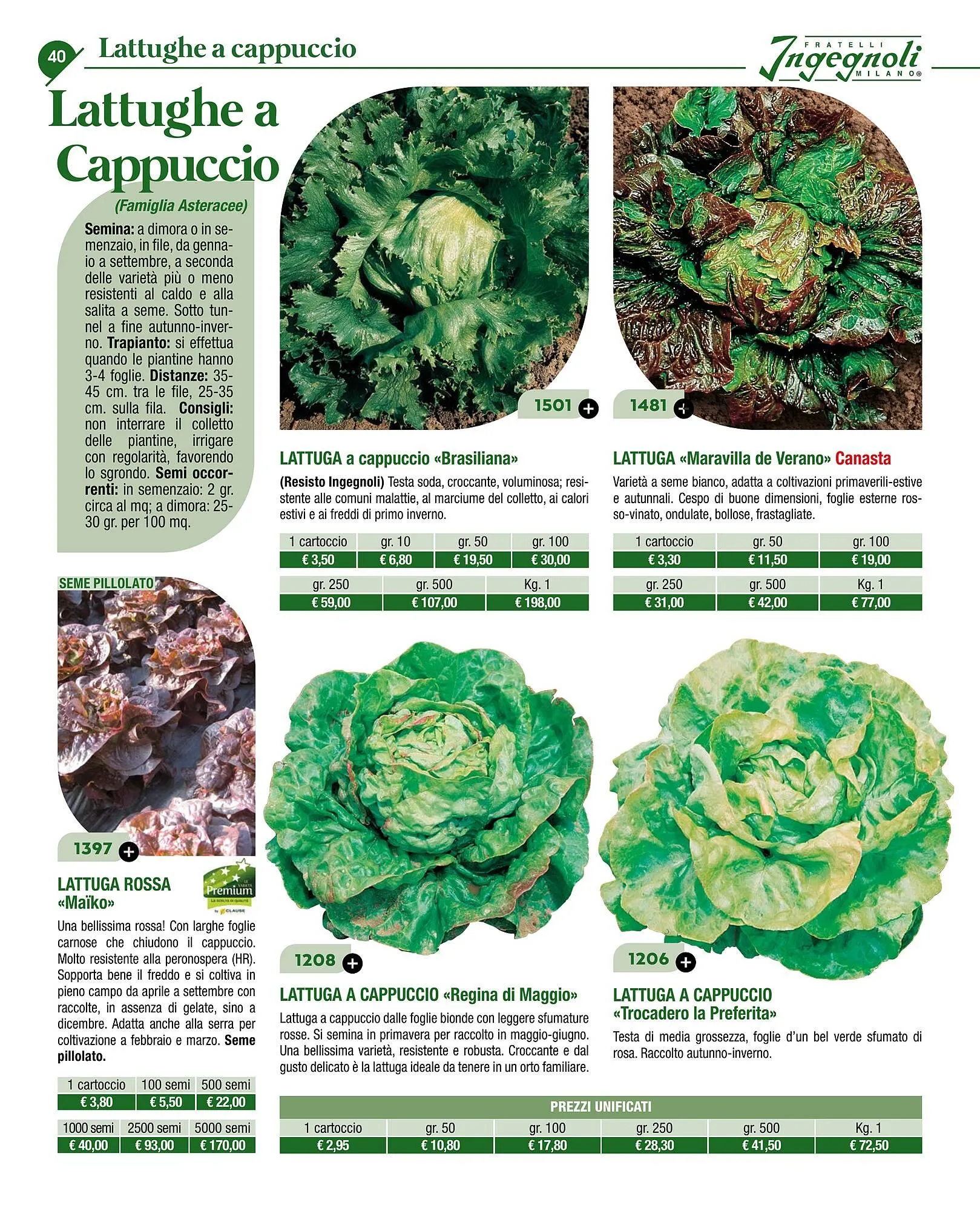 Volantino Ingegnoli da 4 novembre a 31 dicembre di 2025 - Pagina del volantino 42