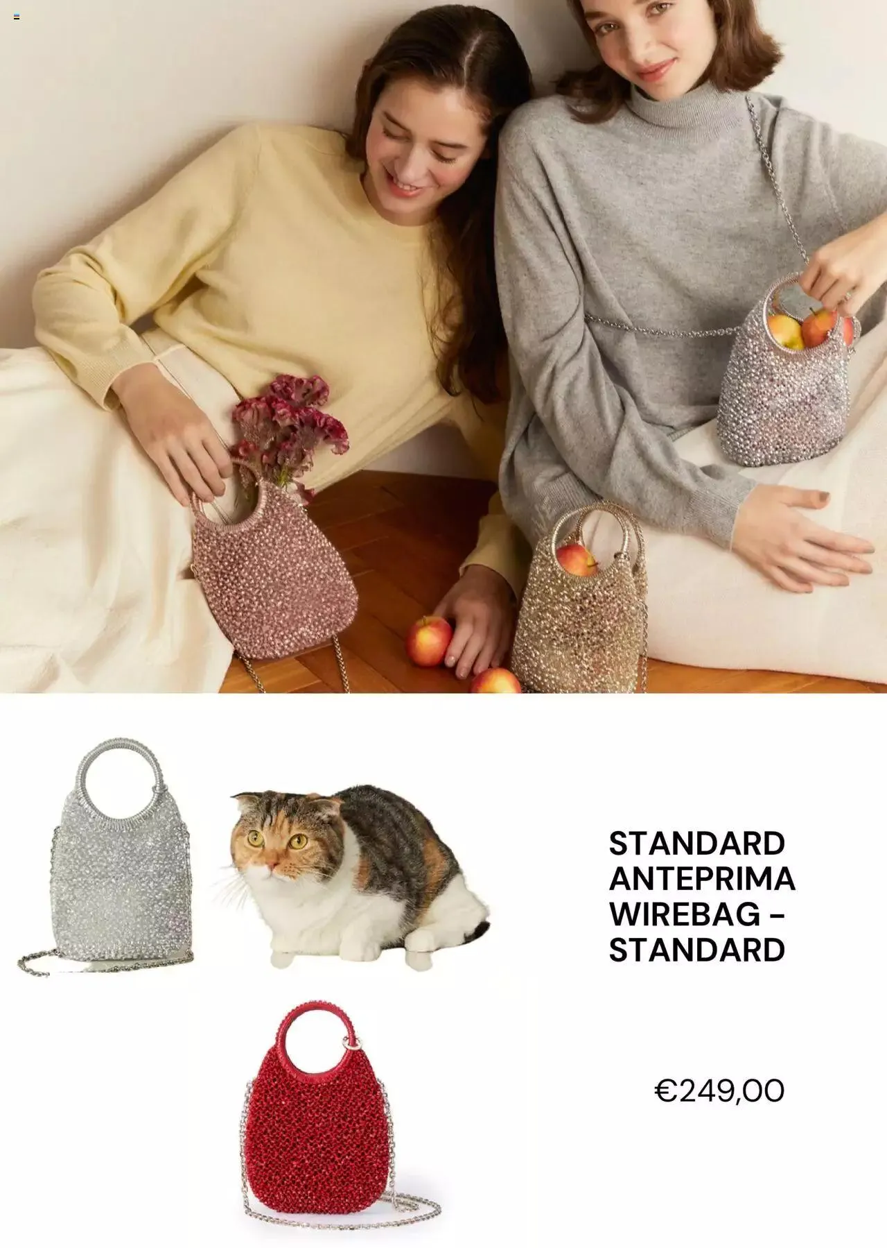 Volantino Anteprima da 13 novembre a 27 dicembre di 2023 - Pagina del volantino 5