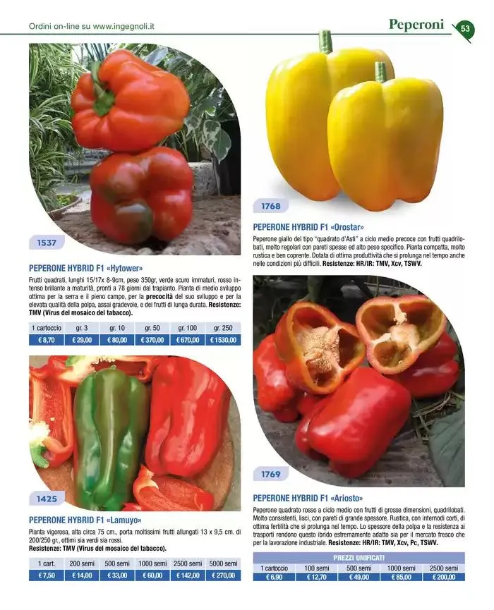 Novita 2025 da 4 novembre a 31 dicembre di 2025 - Pagina del volantino 52