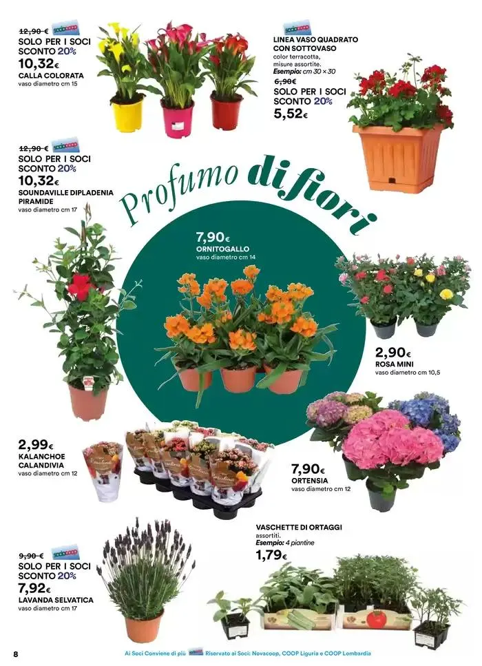 Catalogo Primavera da 27 marzo a 21 aprile di 2025 - Pagina del volantino 8