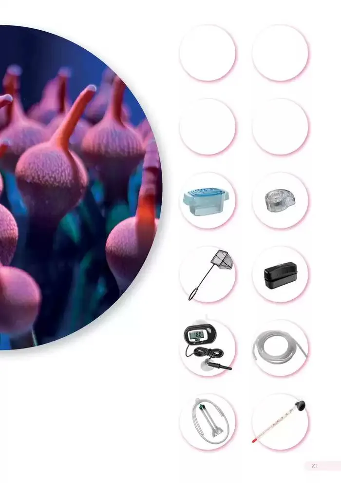 Ferplast da 13 dicembre a 31 dicembre di 2026 - Pagina del volantino 202