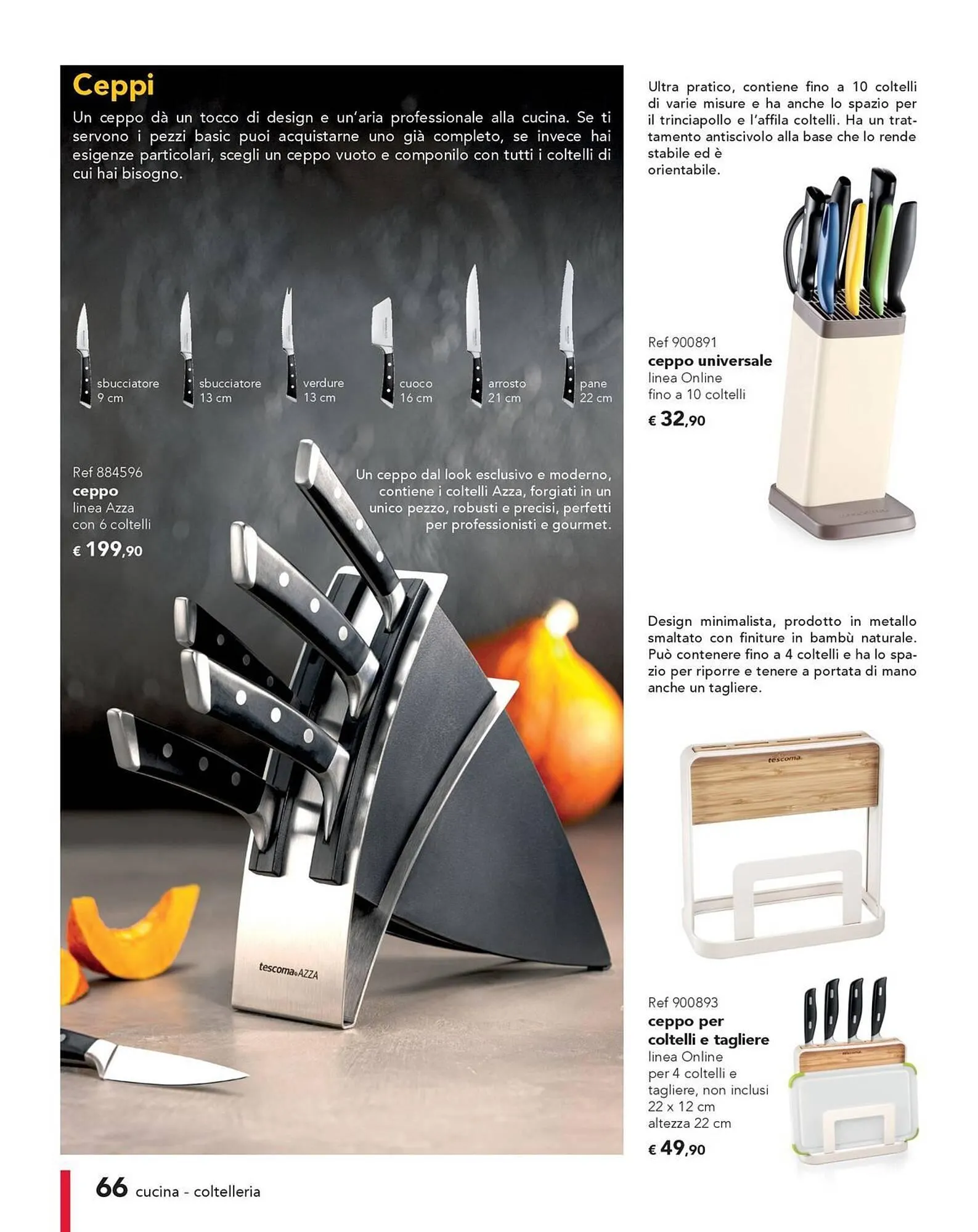 Volantino Tescoma da 27 giugno a 31 dicembre di 2025 - Pagina del volantino 66