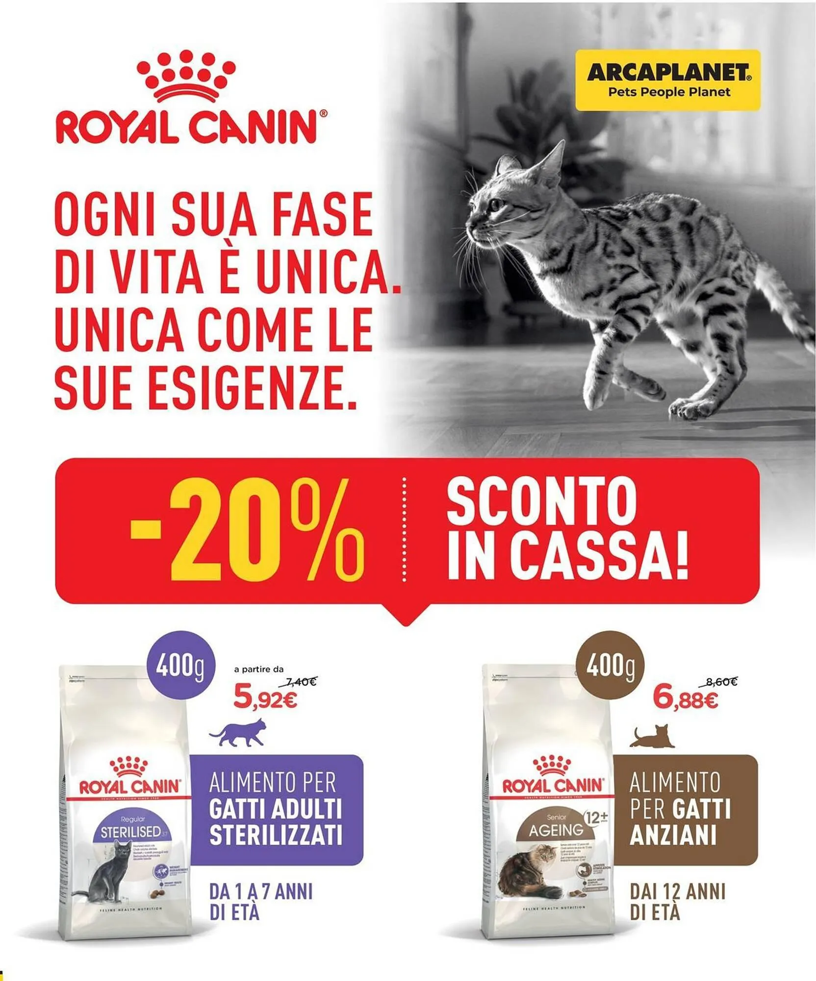 Volantino Arcaplanet da 2 giugno a 12 giugno di 2025 - Pagina del volantino 13