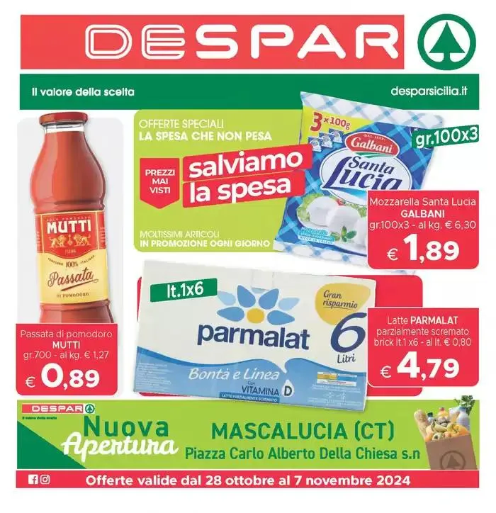 Salviamo la spesa da 28 ottobre a 7 novembre di 2024 - Pagina del volantino 17