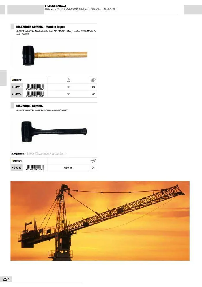 Catalogo Generale da 10 gennaio a 13 maggio di 2025 - Pagina del volantino 225