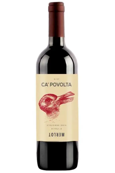 Merlot D'Italia 2022 Ca' Povolta