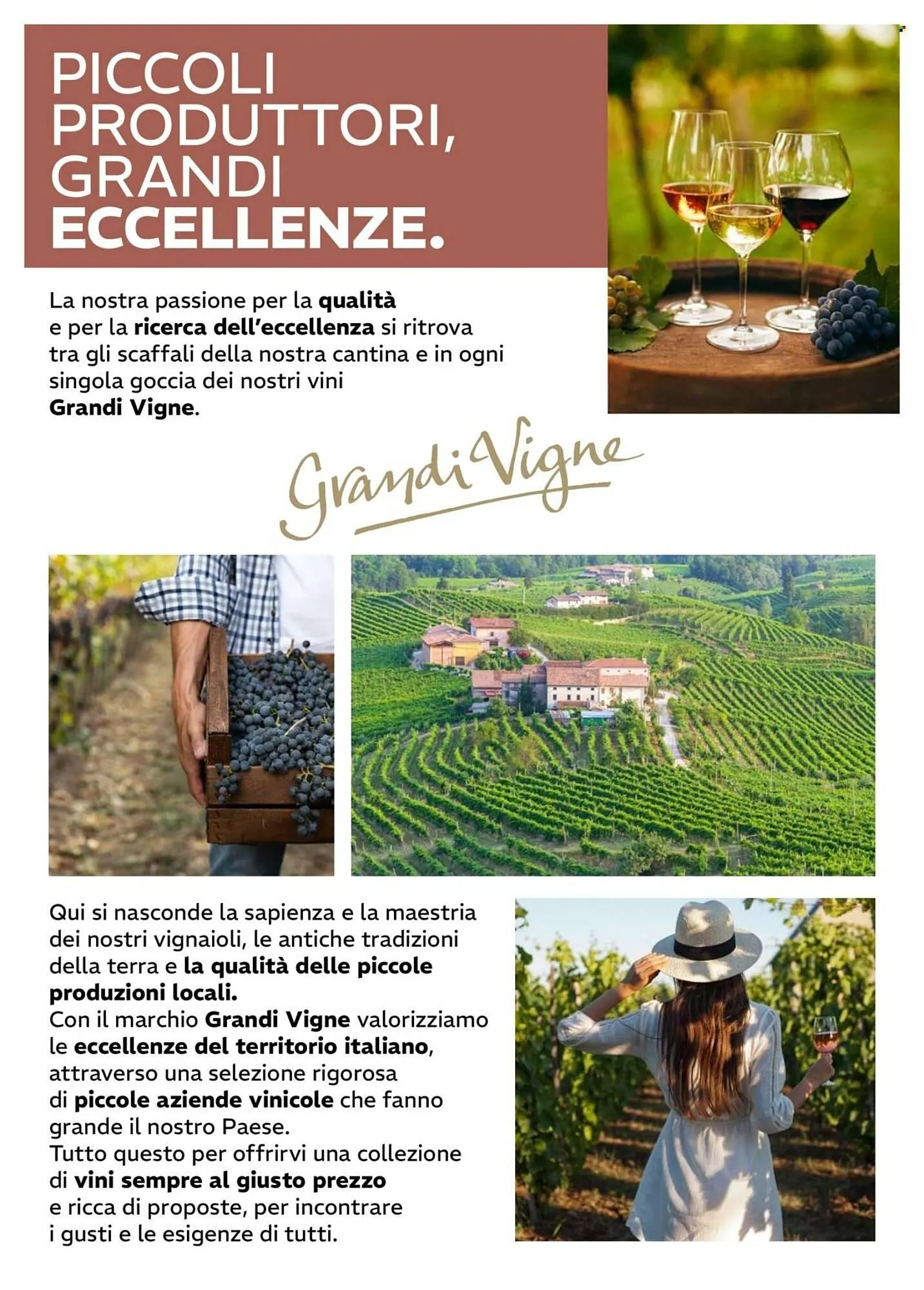 Volantino Iper La Grande da 16 febbraio a 15 marzo di 2026 - Pagina del volantino 2