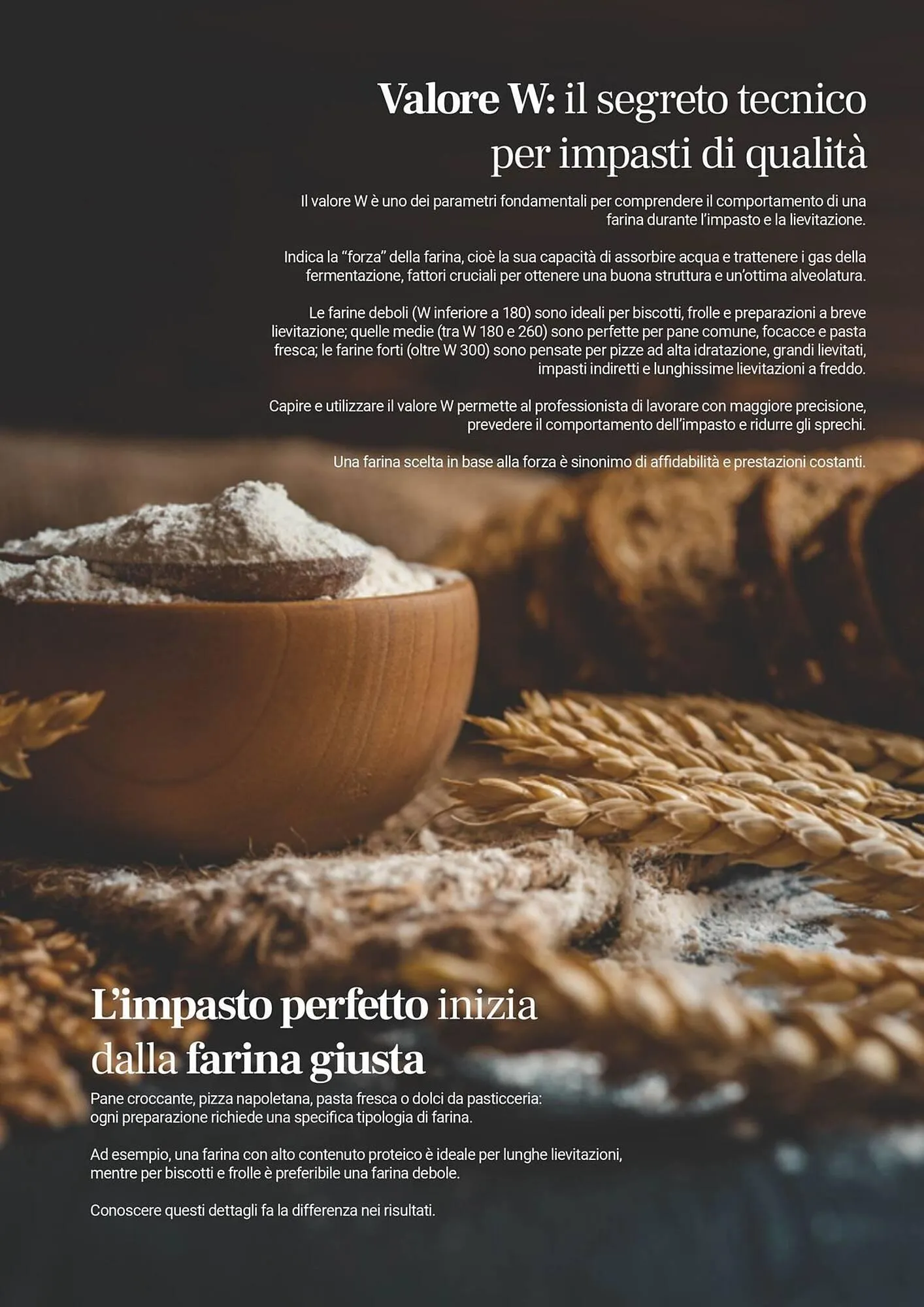 Volantino Centro Cash da 5 novembre a 31 dicembre di 2026 - Pagina del volantino 3