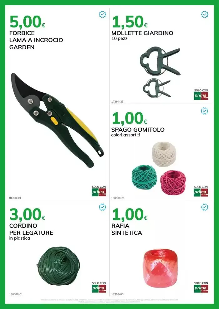 Speciale Terrazzi e Giardini da 11 marzo a 7 maggio di 2025 - Pagina del volantino 13