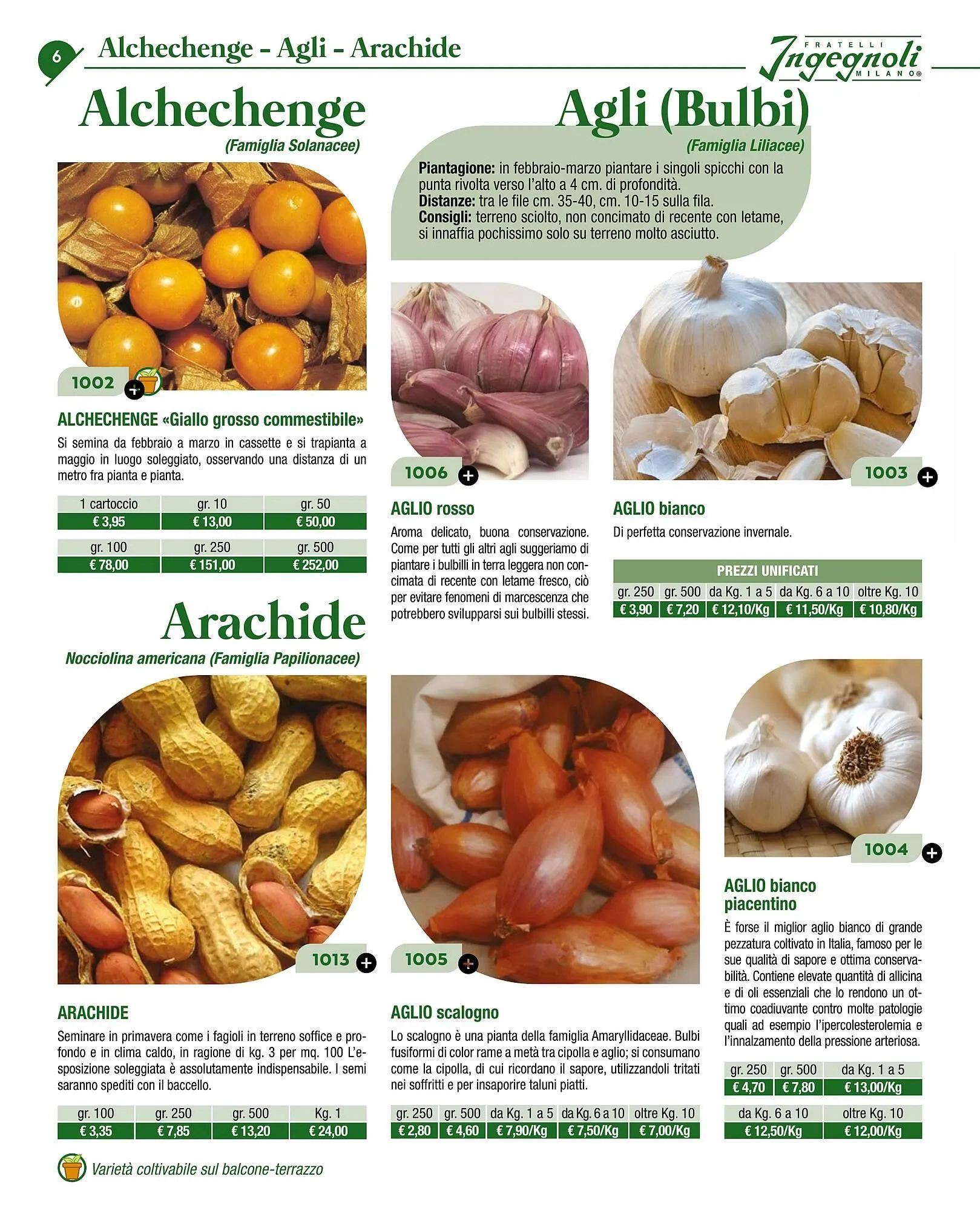 Volantino Ingegnoli da 4 novembre a 31 dicembre di 2025 - Pagina del volantino 8