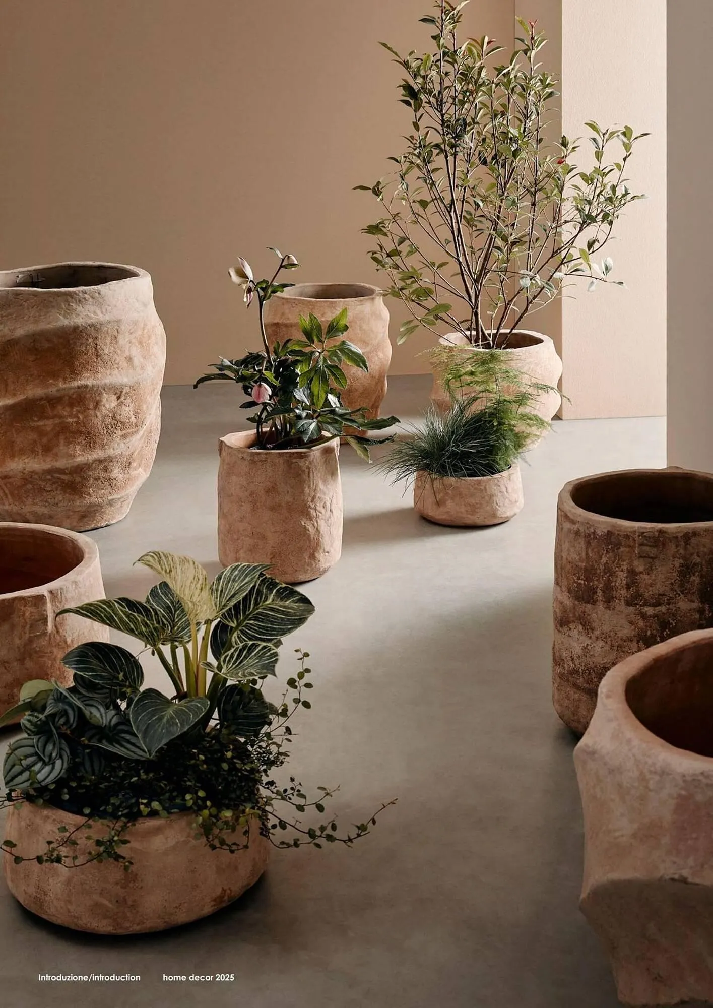 Volantino Bizzotto da 3 febbraio a 31 dicembre di 2025 - Pagina del volantino 42