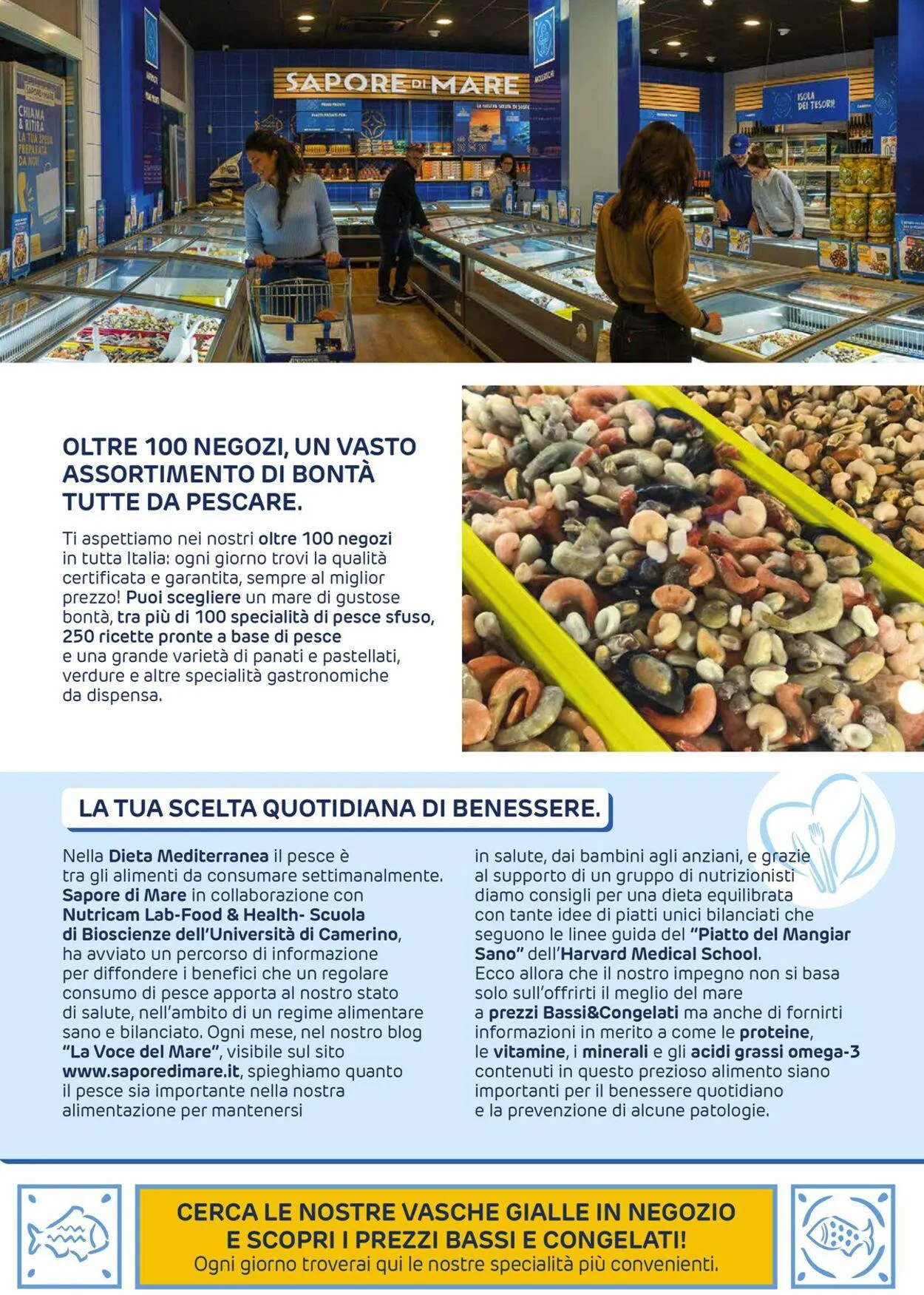 Sapore di Mare da 1 settembre a 31 dicembre di 2023 - Pagina del volantino 3