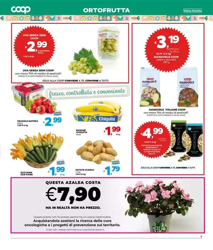 Una pasqua di sorprese da 10 aprile a 22 aprile di 2025 - Pagina del volantino 9