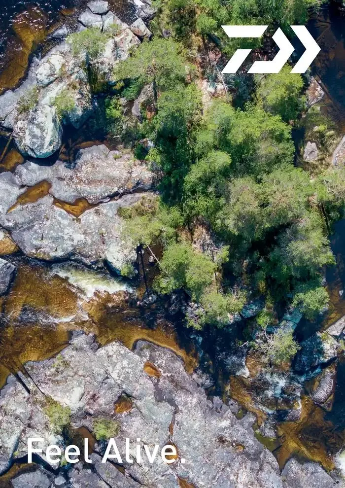 Catalogo 2025 da 4 febbraio a 31 dicembre di 2025 - Pagina del volantino 93