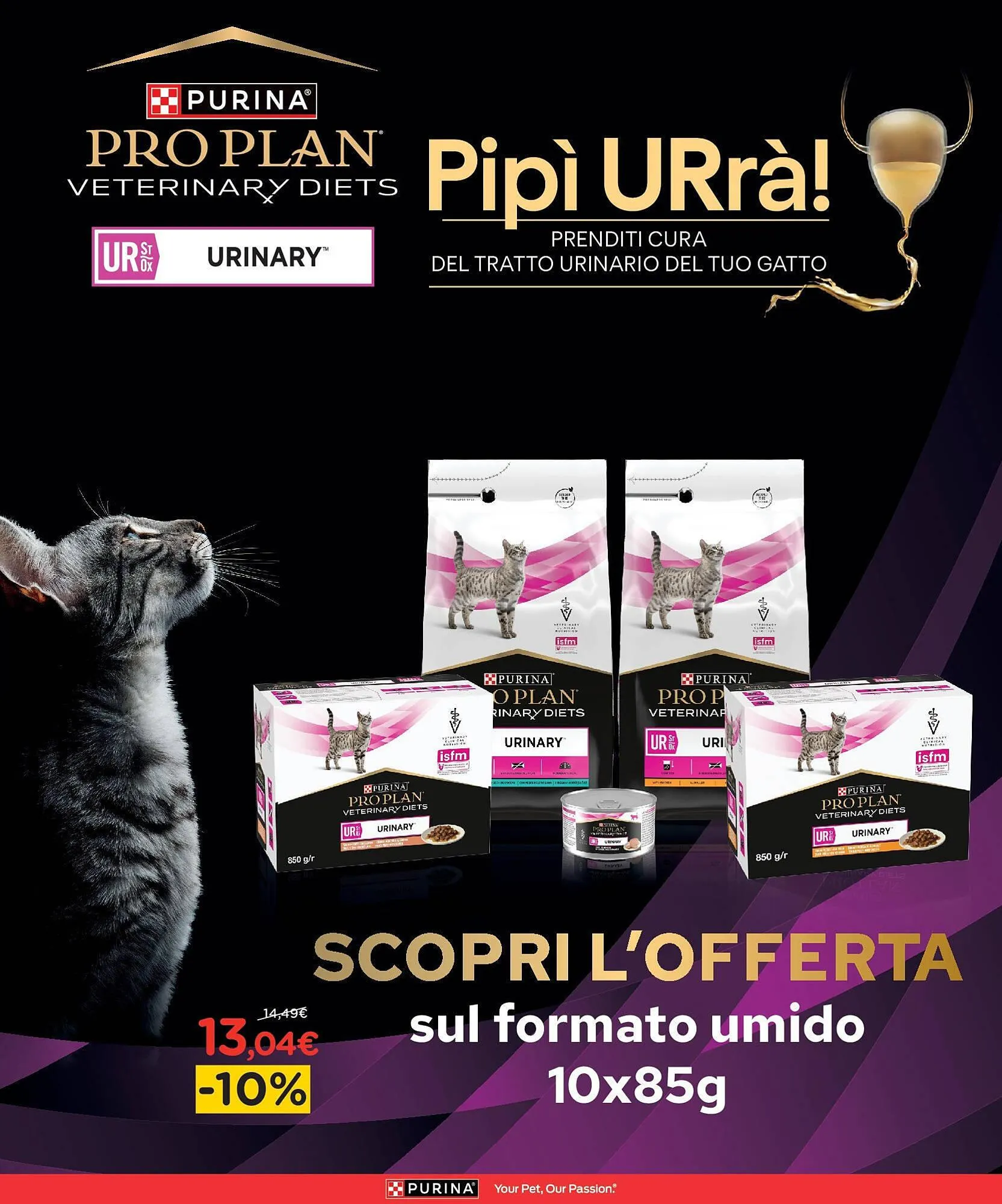 Volantino Arcaplanet da 13 luglio a 20 luglio di 2025 - Pagina del volantino 27