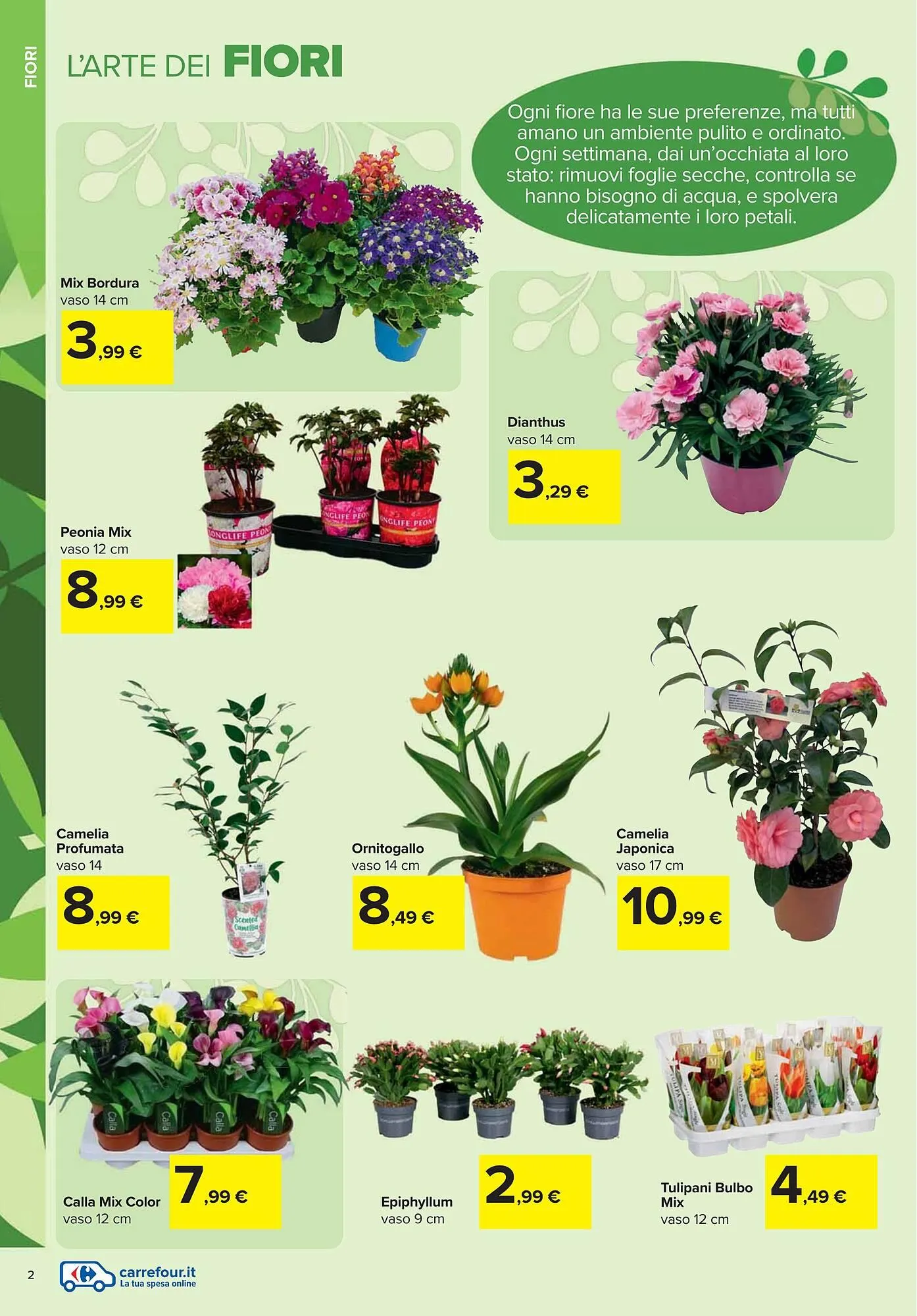 Volantino Carrefour Iper da 13 febbraio a 1 aprile di 2025 - Pagina del volantino 2