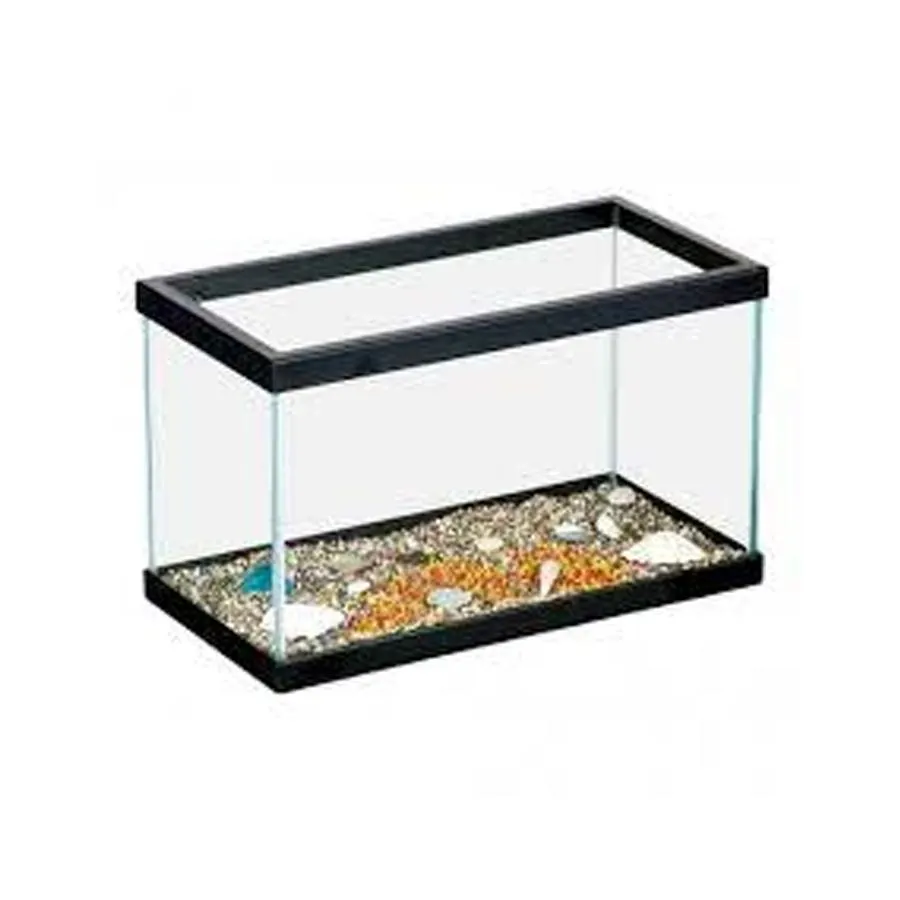 Tartarughiera azzurra