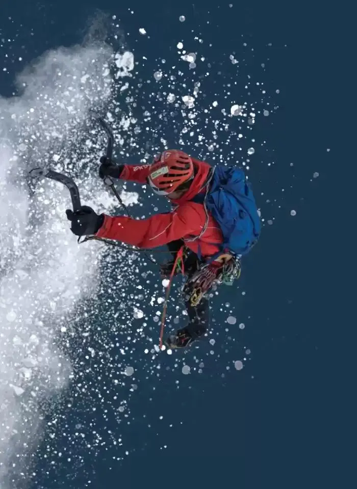 Catalogo Neve - FW 2024/2025 da 1 gennaio a 31 dicembre di 2025 - Pagina del volantino 253