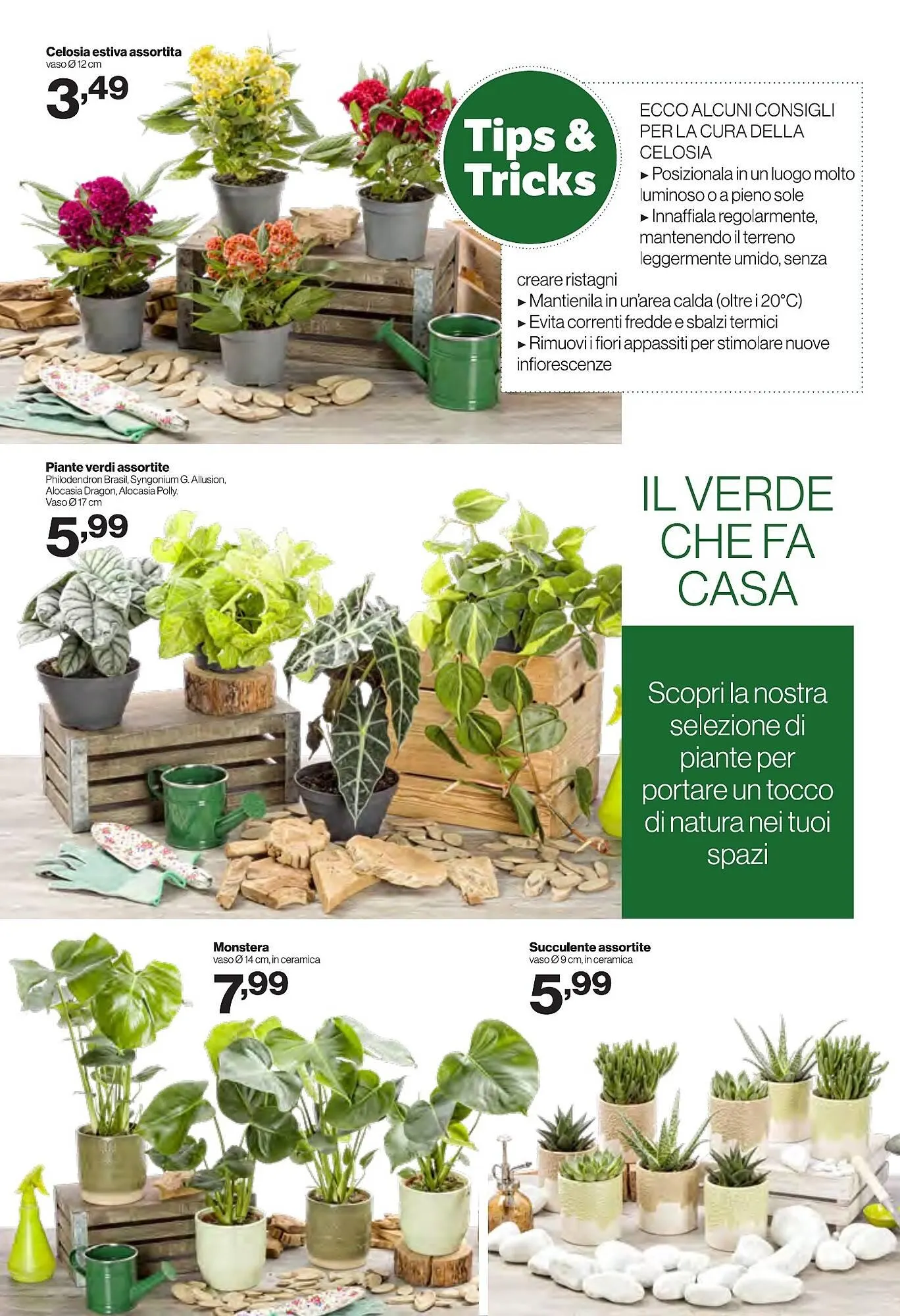 Volantino In'S Mercato da 27 agosto a 7 settembre di 2025 - Pagina del volantino 16