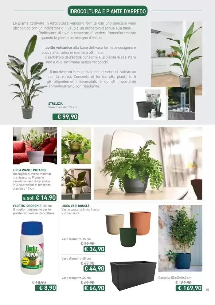 Festa di Primavera da 13 marzo a 13 aprile di 2025 - Pagina del volantino 15