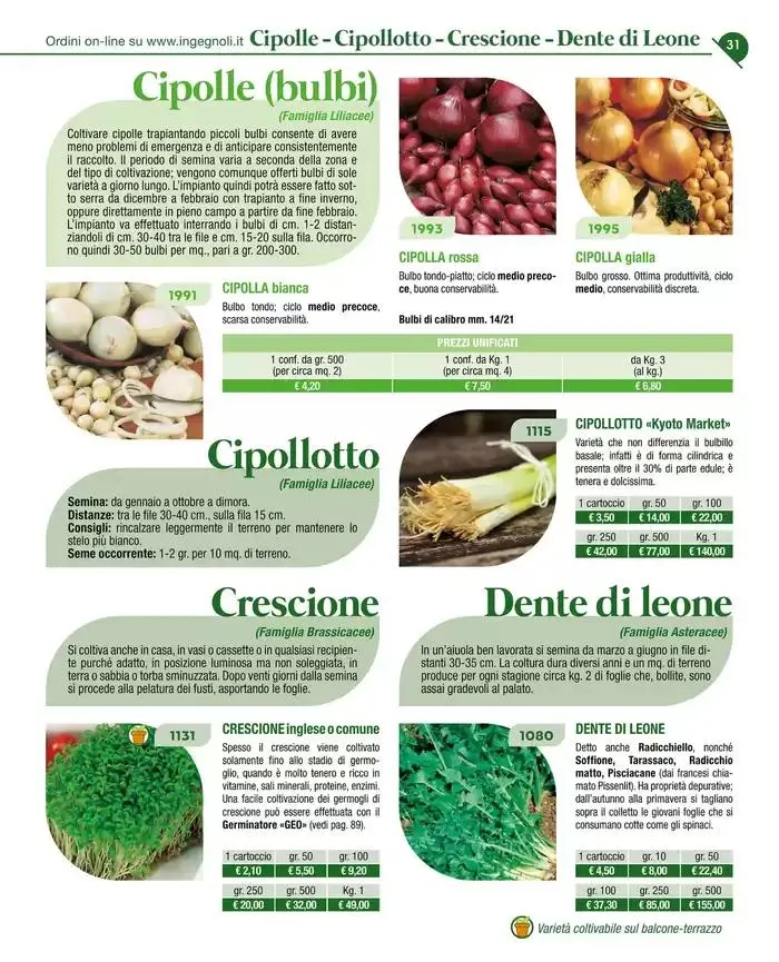 Catalogo guida 2025 da 20 gennaio a 31 dicembre di 2025 - Pagina del volantino 33