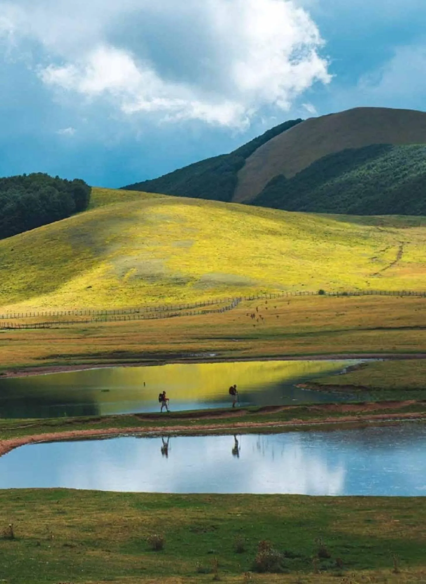 Volantino DF Sport Specialist da 23 giugno a 22 settembre di 2025 - Pagina del volantino 206