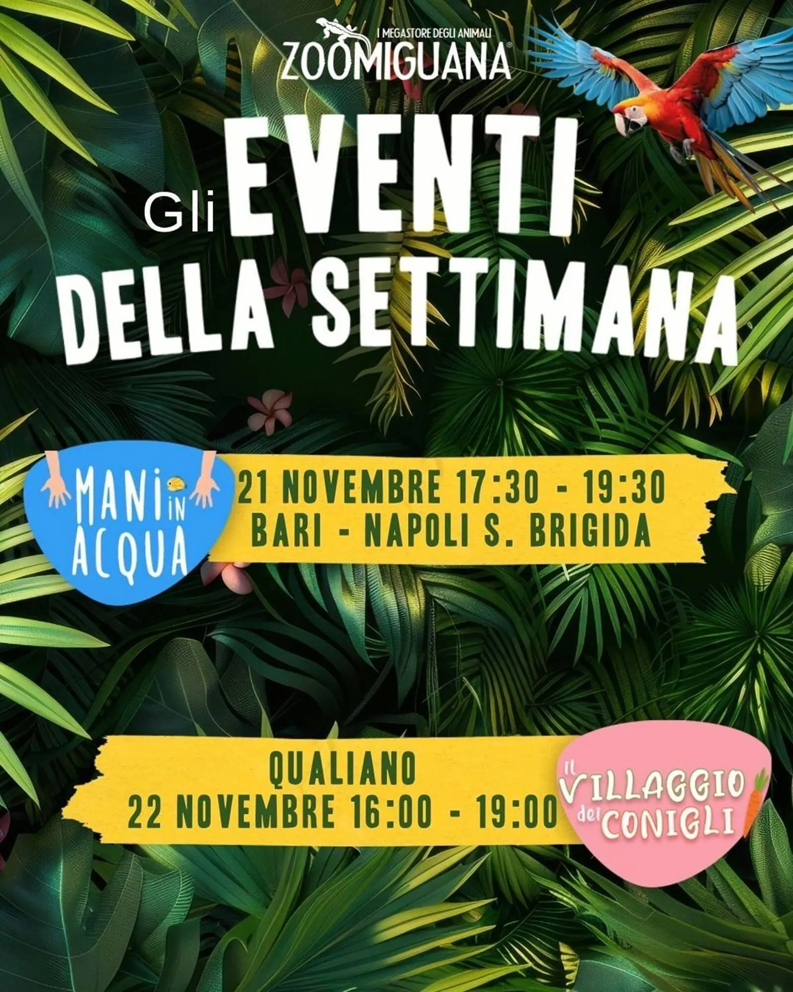 Volantino Zoomiguana da 21 novembre a 22 novembre di 2025 - Pagina del volantino 1