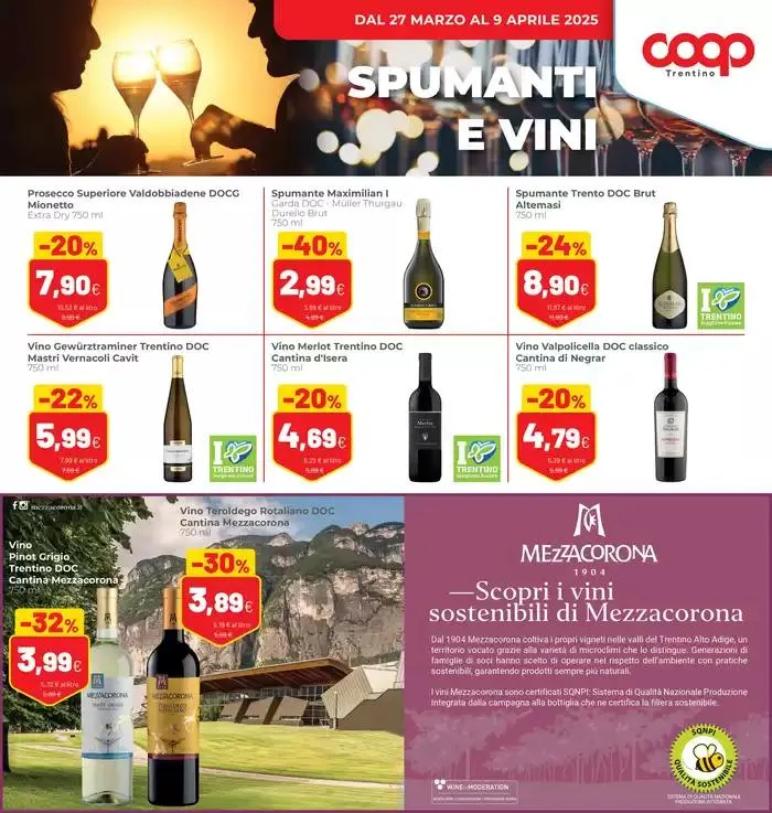 Sconti fino al 40% da 27 marzo a 9 aprile di 2025 - Pagina del volantino 17