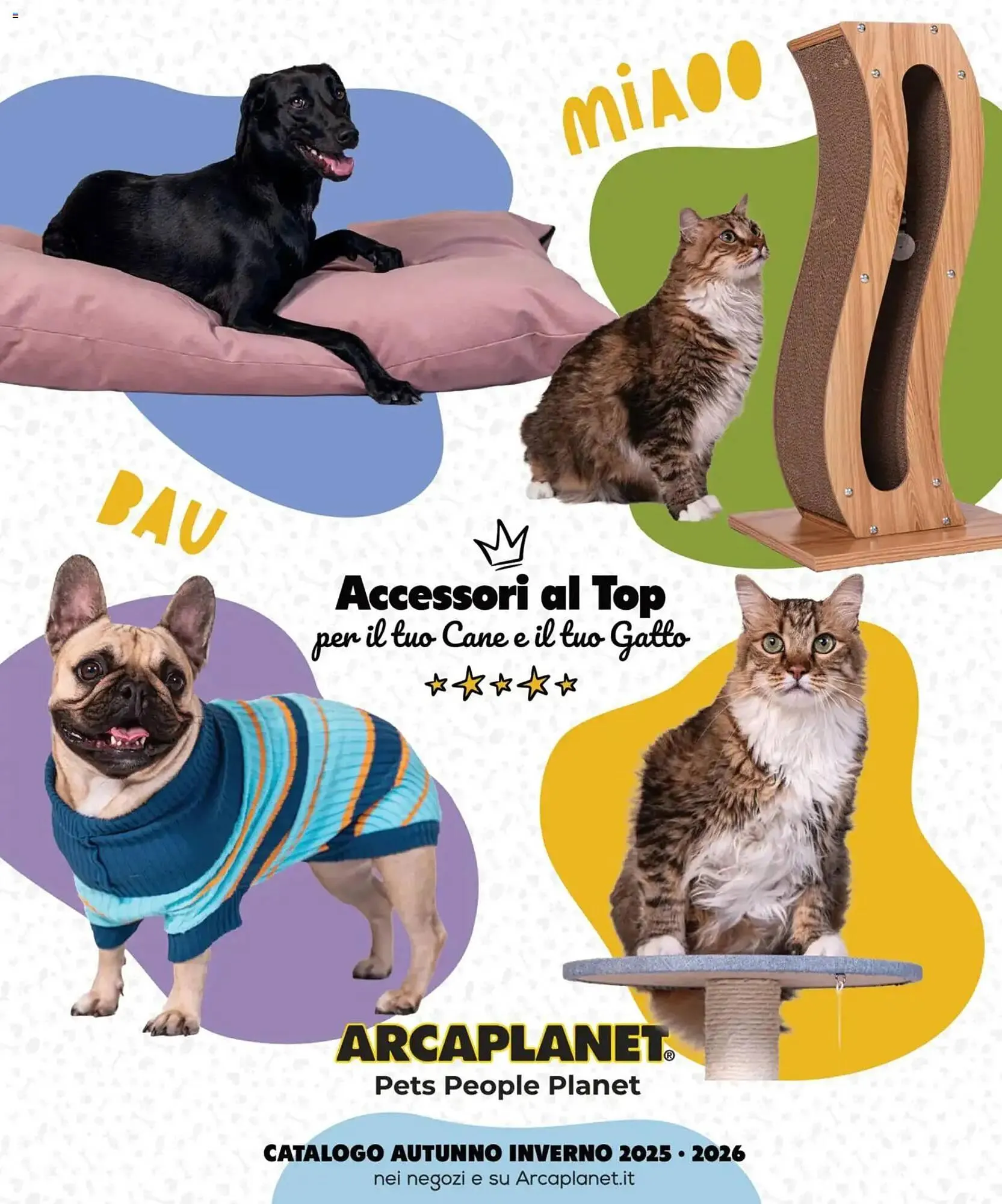 Volantino Arcaplanet - 1