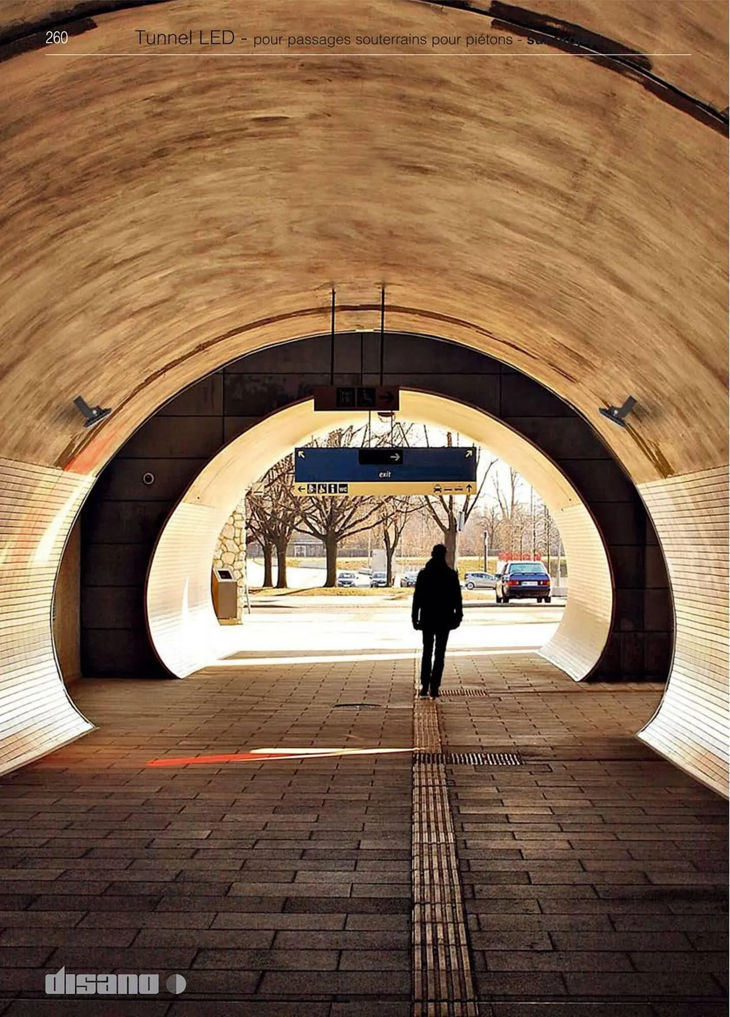 Volantino Disano da 8 marzo a 26 aprile di 2025 - Pagina del volantino 288